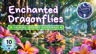 Enchanted Dragonflies 🧚‍♀️🌿 | 10 Minutes Calming Sensory Experience | Nature Sounds & Relaxation screenshot 2