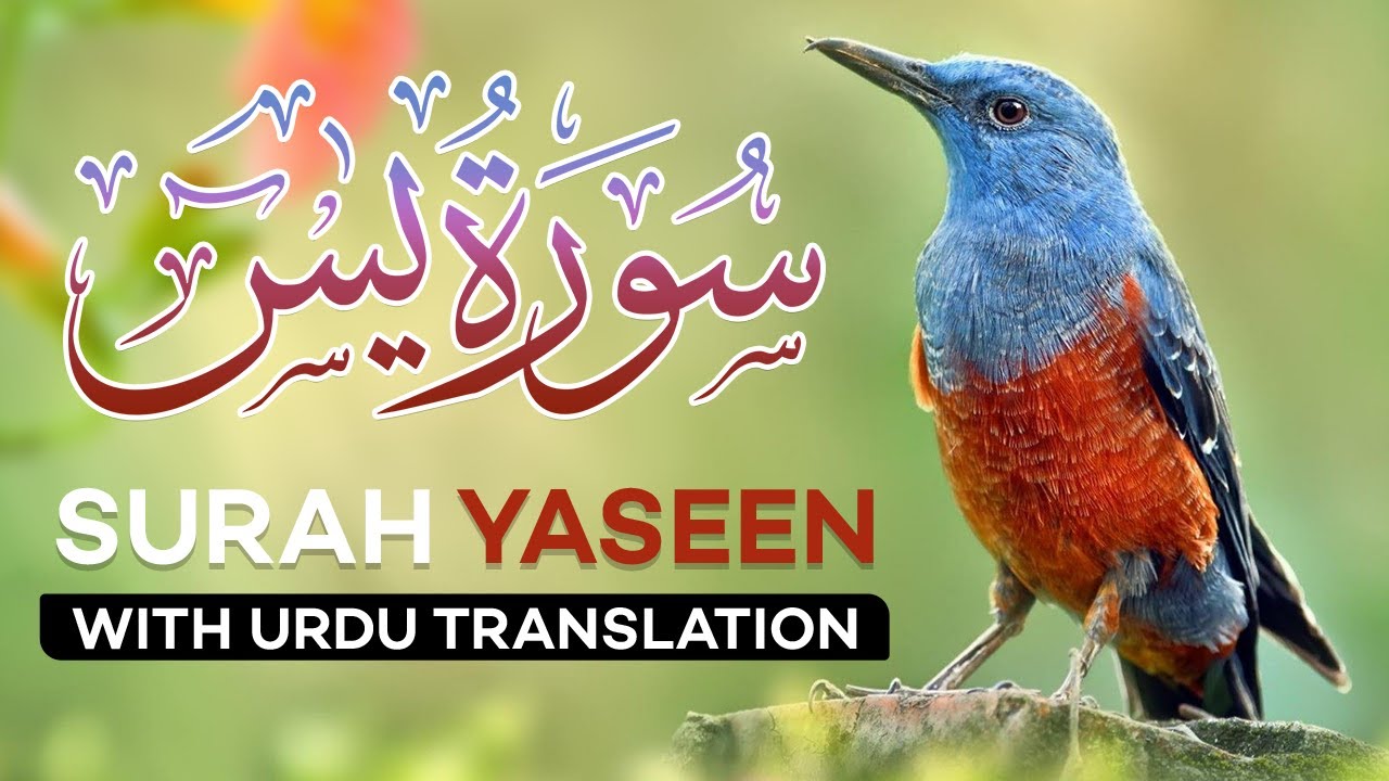 surah-yaseen-yasin-tarjuma-ke-sath-episode-026-quran-tilawat