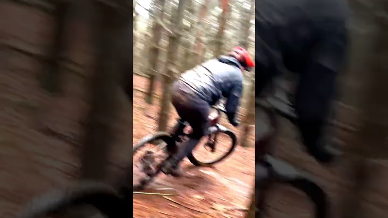 WATCH OUT FOR THEM TREES FOLKS