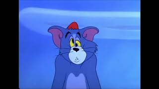 Tom and Jerry Episode 61 Nit Witty Kitty 1951