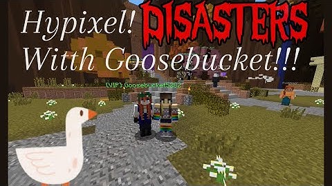 Hypixel : Disasters! ~ Collab With Goosebucket5282!!!