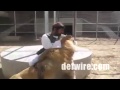 Fearless afghan man playing hide and seek with pet lion