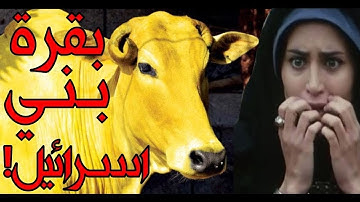 قصة بقرة بني إسرائيل من سورة البقرة (من روائع القصص القرآني)