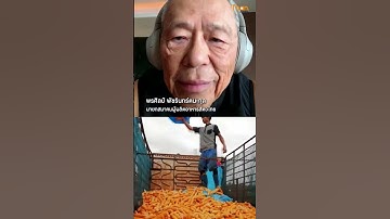 ข้าวโพด ต้นทุนปลูกของสหรัฐฯ ต่ำกว่าไทยมาก ขณะที่ไทยผลิตได้เพียง 5 ล้านตันต่อปี