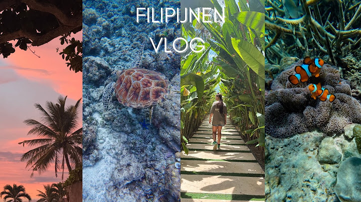 WALVISHAAIEN, SURFEN EN NOG VEEL MEER | FILIPIJNEN VLOG | NADINE AMBER