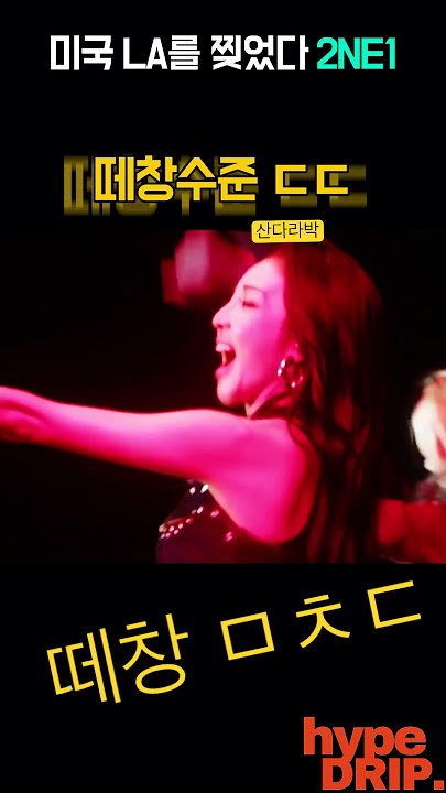 2NE1 이정도야? 미국 LA 역대급 떼창