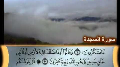 سورة السجدة تلاوة حجازية لقارئ ابو بكر محمد برناوي