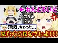 自分のねんどろいどのアレを見てしまい不服なリスナーに、斜め上のキレ方をするわためぇ【角巻わため/ホロライブ切り抜き】