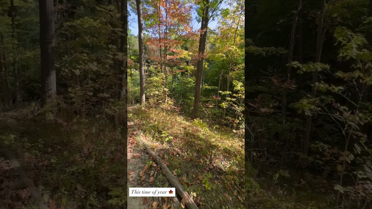 Canadian Autumn 🇨🇦🍁🍁🍁