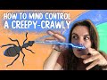 How To Mind Control A Creepy-Crawly | Get On It | BBC Earth Kids