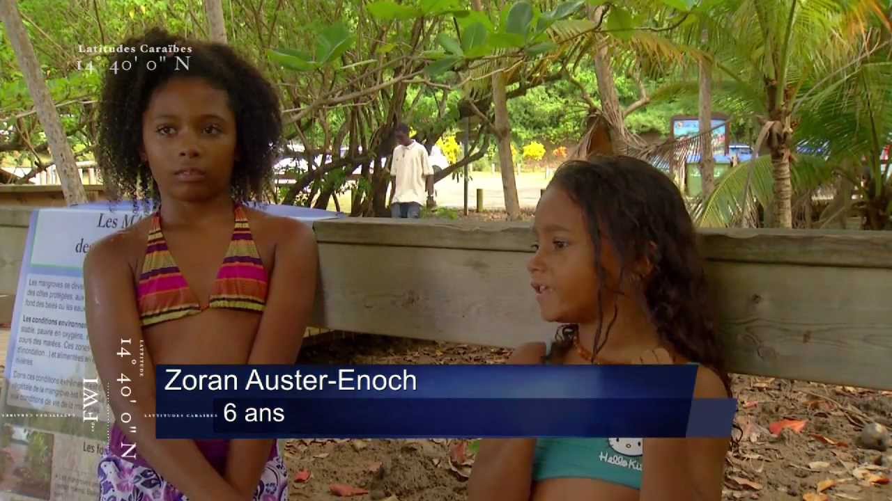Latitudes Caraïbes - Surf à Tartane