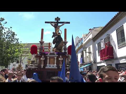 Real e Ilustre Hermandad Sacramental de la Inmaculada Concepción, Franciscana, Primitiva y Cisterciense Cofradía de Nazarenos de la Piedad de Nuestra Señora, Santísimo Cristo de la Buena Muerte, Santa María Magdalena y María Santísima de la Hiniesta Dolorosa y Gloriosa Coronada