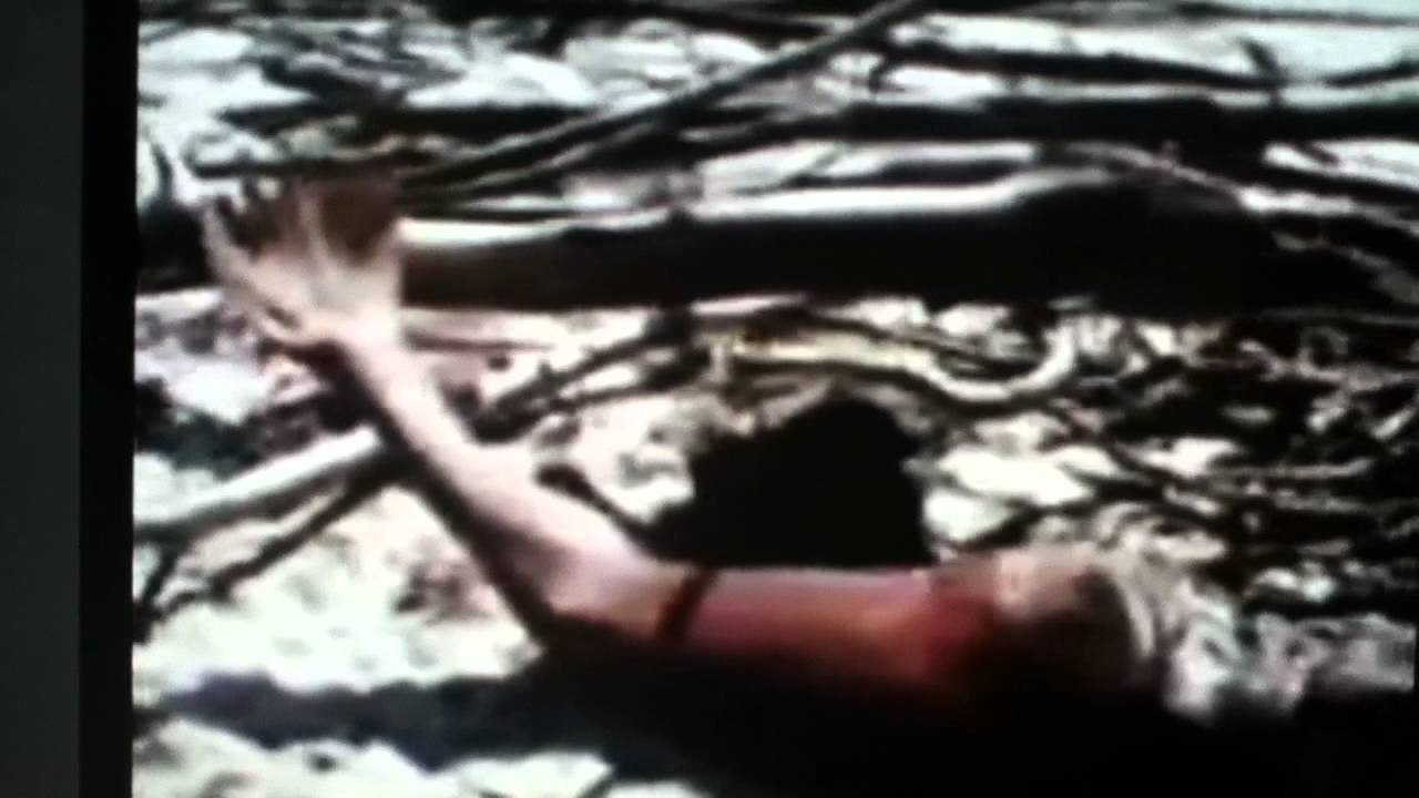 real animal of the water - YouTube