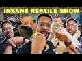 1,000 Snakes in One Room… Taiwan Reptile Expo