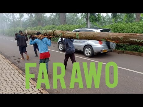 FARAWO by inyenyeri zijuru cover by calvary YACU TV