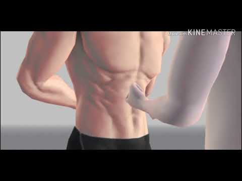 Animation Gut Punch (Short)