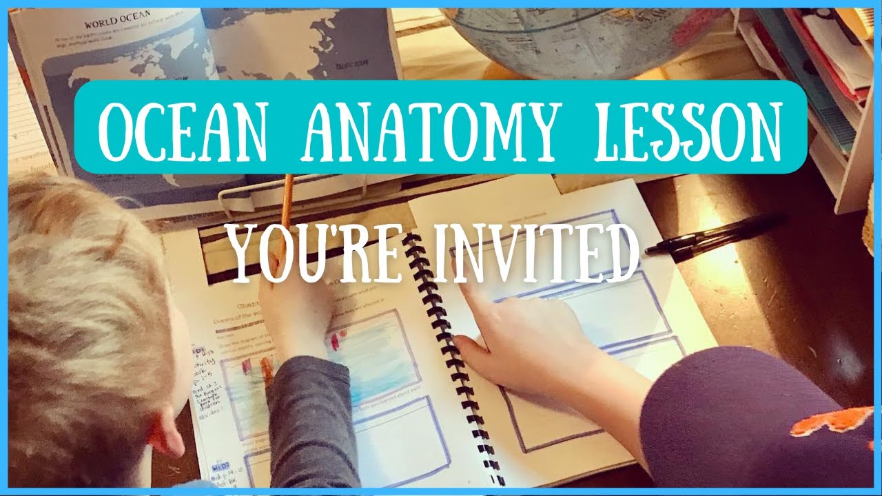 Ocean Anatomy Homeschool Lesson: Family Subject
