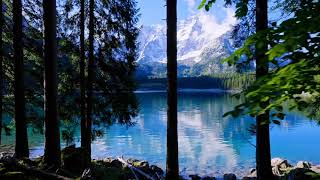 Alpine Reflections | Calming Mountain Lake, Cinematic Live Wallpaper