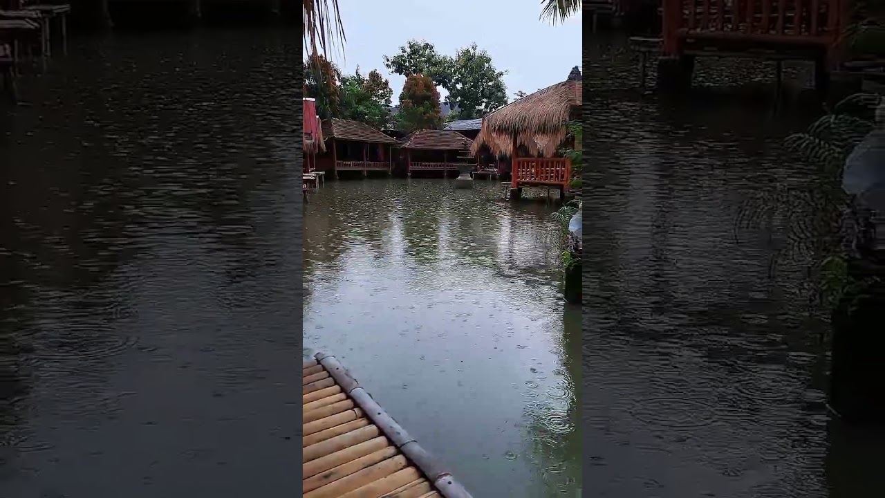 LIGHT RAIN ON THE LAKE'S EDGE | RAIN | RAIN SOUNDS 