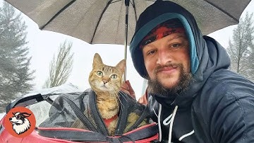 Man Rescues Kitten on the Road and Travels the World With Her