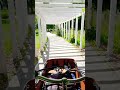 Weekend vibes  #wparku🌲🌳 #park #chillin #chill #cargobikelife #cargo #babboebike #relaxtime #rowerki
