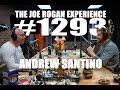 Joe Rogan Experience #1293 - Andrew Santino