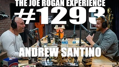 Joe Rogan Experience #1293 - Andrew Santino