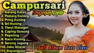 CAMPURSARI SRAGENAN KOPLO TERBARU || KOPLO CAMPURSARI FULL BASS 