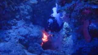Devil's Throat at Punta Sur with Pro Dive Mexico