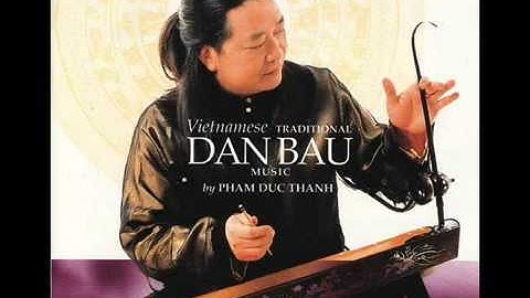 Cây trúc xinh  Hòa tấu