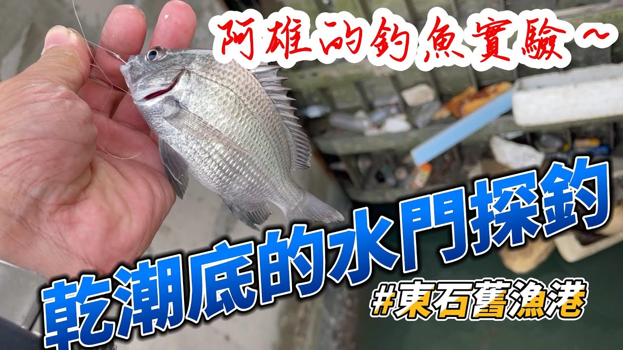 阿雄的水門釣魚實驗～#東石舊漁港水門探釣#前打