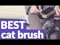 Best Cat Brush in 2019 | 9 TOP RATED Cat Brushes