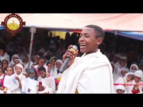 ቪዲዮ: በአዳጊ ከረጢቶች ጋር የአትክልት ስራ - የሚያድግ ቦርሳ ምንድን ነው እና የሚበቅሉ ከረጢቶች ምን ይጠቅማሉ