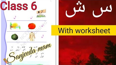 6 class urdu book | class 6 urdu chapter 8 question answer ncert book jaan pehchan @sunrisestudy2020