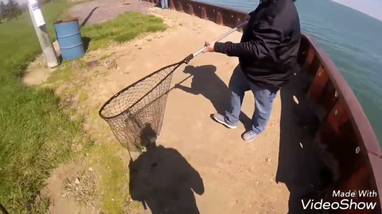 lake st.clair smallmouth bass fishing