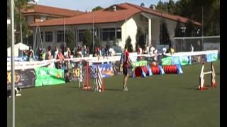 DOG OLYMPIC GAMES 2012  - jumping individuale open MARCO PINI con BOLLA DI BONGA - screenshot 1