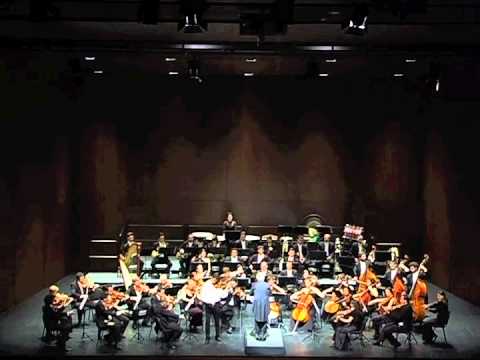 J. Sibelius Violin Concerto - Adagio di Molto