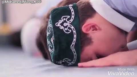 حالات واتساب دينيه _ من سوره الكهف | الشيخ فارس عباد