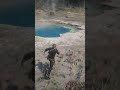 #avangard #rdr2 #shortvideo