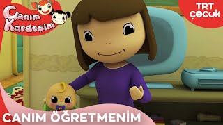 CANIM KARDEŞİM | ÖĞRETMEN ŞARKISI | TRT ÇOCUK