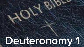 Deuteronomy 1 (NIV) The Audio Bible