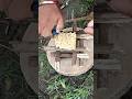 This man make fire candle for how to survive in the forest....