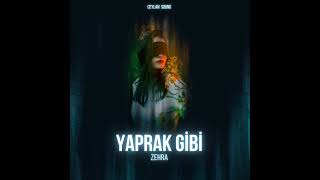 Zehra - Yaprak Gibi ( Slowed + Reverb ) / Ceylan Sound Resimi