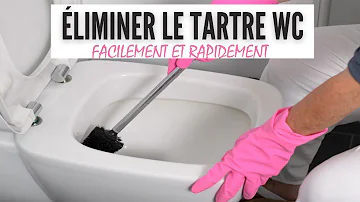 Quel produit pour les sanitaires ?