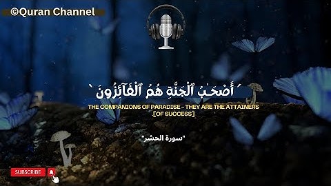 راحة نفسیة - قارئ رعد محمد الکردي❤ سعد الغامدي💙 تلاوة هادئة - تلاوة مٶثرة تریح القلب والاعصاب🎧