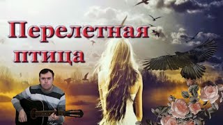 Перелётная птица, улётная песня тех времён(Guitar Cover)