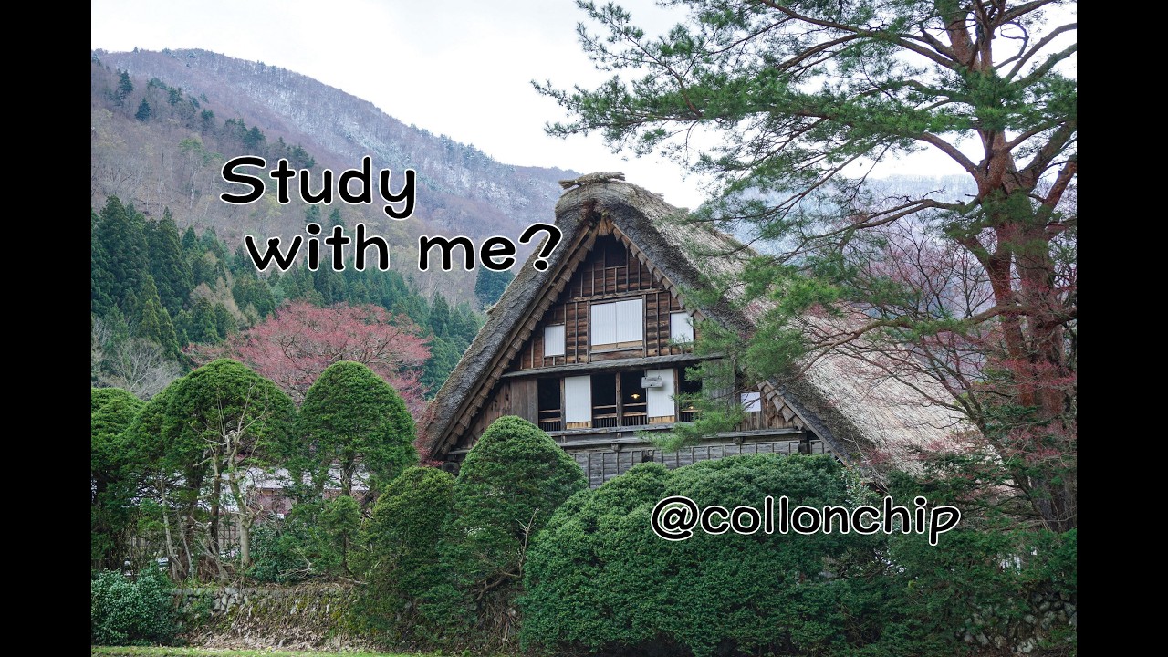 Study with me】司法書士試験 合格率5％の狭き門を目指して勉強中