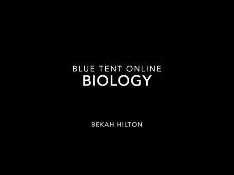 General Biology Class Demo | Bekah Hilton | Blue Tent Online