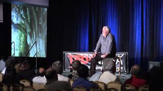 An archive of ancient tree genes | David Milarch | TEDxNASA@SiliconValley