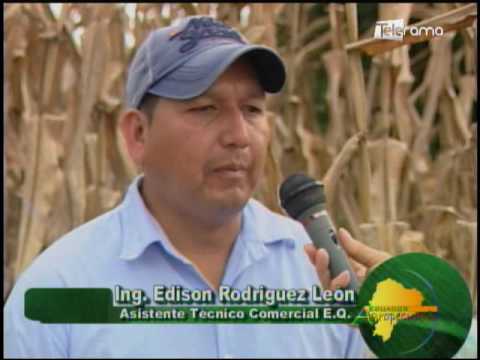Ecuador Agropecuario 14-07-2017